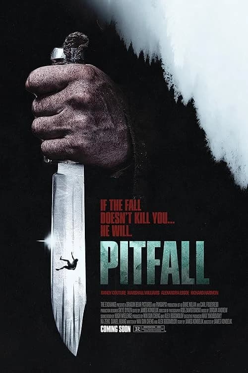 Pitfall film posteri